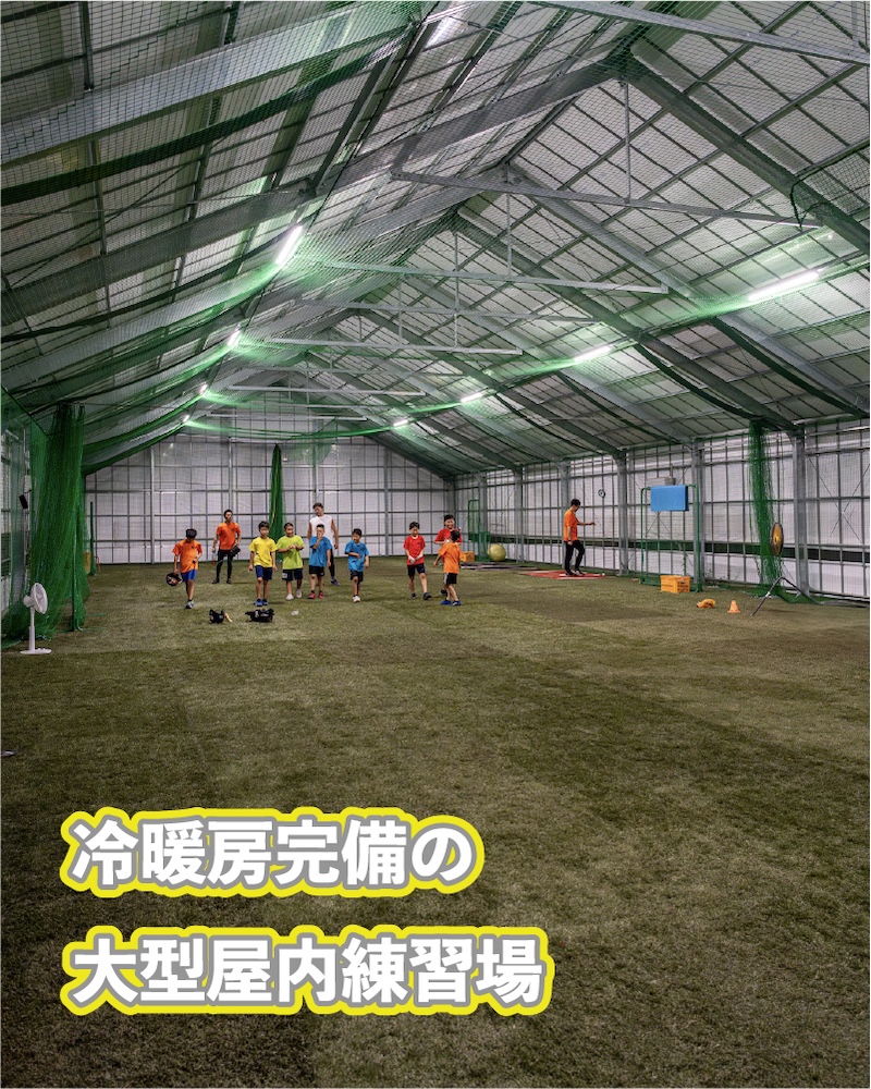アセット 31illastaaa